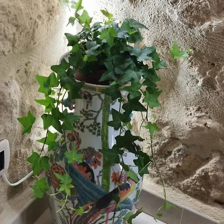 Santa Lucia باري